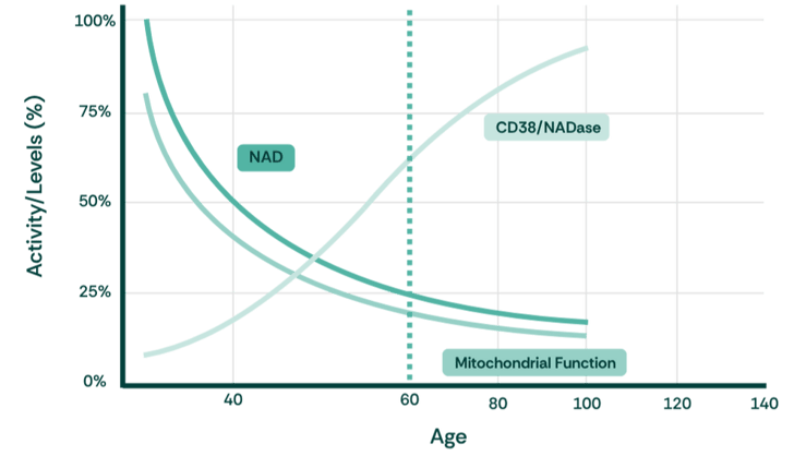 NAD Activity levels chart-1